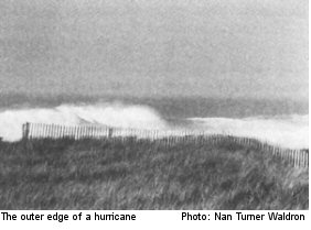 The outer edge of a hurricane Photo by Nan Turner Waldron